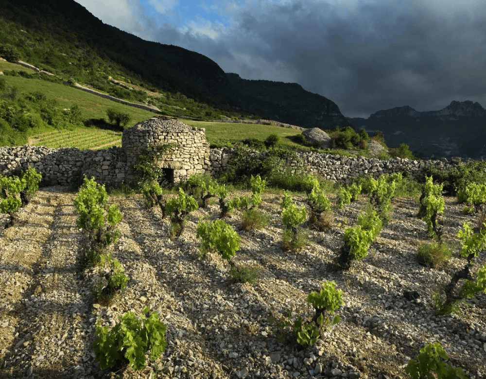 Domaine du Pas de L'Escalette